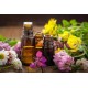Bach Flowers and Other Essences